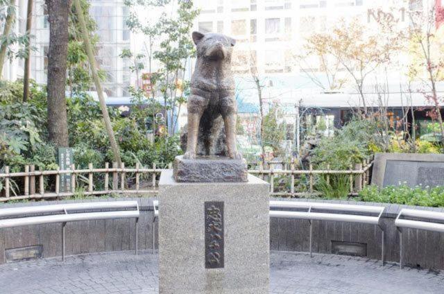 S6 Shibuya Center-350m From Shibuya St Ation * Tokio